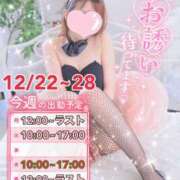 ヒメ日記 2025/12/24 15:45 投稿 イノリ ドMなバニーちゃん大宮店