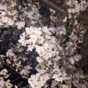 ヒメ日記 2026/04/22 01:30 投稿 ♡ゆか♡ 梅田ムチぽよ女学院