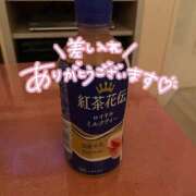 ヒメ日記 2024/11/25 00:51 投稿 なな【業界未経験】 茨城水戸ちゃんこ