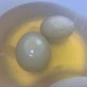 ヒメ日記 2025/03/19 22:02 投稿 あおい タレントCLUB