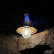 ヒメ日記 2025/04/07 18:02 投稿 あおい タレントCLUB