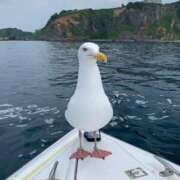 ヒメ日記 2025/05/18 08:00 投稿 あおい タレントCLUB