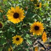 ヒメ日記 2025/05/21 22:35 投稿 あおい タレントCLUB