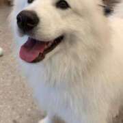 ヒメ日記 2025/07/20 18:11 投稿 あおい タレントCLUB