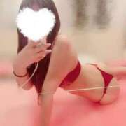 ヒメ日記 2025/03/15 17:08 投稿 ふみ ホワイトハウス