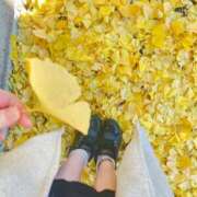 ヒメ日記 2024/12/13 16:02 投稿 夏-なつ【FG系列】 ほんつま千葉店（FG系列）