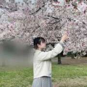 ヒメ日記 2025/04/04 13:58 投稿 夏-なつ【FG系列】 ほんつま千葉店（FG系列）