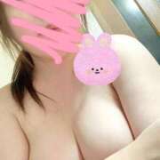 ヒメ日記 2024/12/26 11:19 投稿 ラム 石川小松ちゃんこ