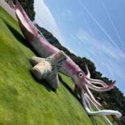 ヒメ日記 2025/06/29 18:42 投稿 ラム 石川小松ちゃんこ