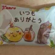 ラム 〜〜✨2026✨〜〜 石川小松ちゃんこ