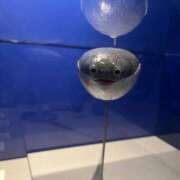 にこ 急遽…… ごほうびSPA神戸店