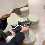 ヒメ日記 2026/01/19 23:36 投稿 いろは 佐世保人妻デリヘル「デリ夫人」