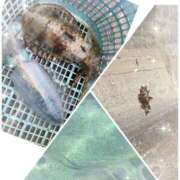 ヒメ日記 2026/03/17 15:45 投稿 いろは 佐世保人妻デリヘル「デリ夫人」