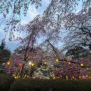 ヒメ日記 2025/04/20 11:30 投稿 ミオナ マドンナ(仙台)