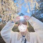 ヒメ日記 2025/04/26 15:19 投稿 ミオナ マドンナ(仙台)