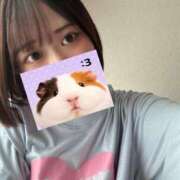 ヒメ日記 2026/08/11 20:01 投稿 ミオナ マドンナ(仙台)