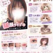 ミオナ チャッピー遊び🐱 マドンナ(仙台)