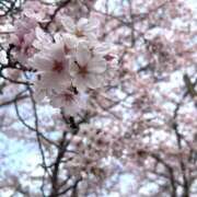 ヒメ日記 2025/04/22 18:38 投稿 ゆうき ハピネス＆ドリーム福岡