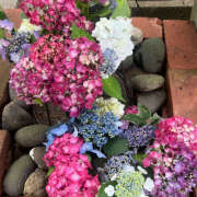 ヒメ日記 2025/07/18 21:48 投稿 ゆうき ハピネス＆ドリーム福岡