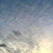 ヒメ日記 2025/08/10 00:48 投稿 ゆうき ハピネス＆ドリーム福岡