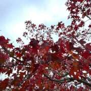 ゆうき お誕生日出勤 ハピネス＆ドリーム福岡