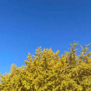 ゆうき 出勤します(*^^*) ハピネス＆ドリーム福岡