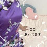 ヒメ日記 2025/11/14 11:16 投稿 琉唯(るい) カサブランカ岡山店（カサブランカグループ）