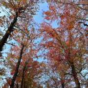 ヒメ日記 2025/11/27 12:16 投稿 琉唯(るい) カサブランカ岡山店（カサブランカグループ）