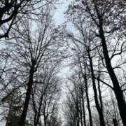 ヒメ日記 2026/01/15 10:22 投稿 琉唯(るい) カサブランカ岡山店（カサブランカグループ）