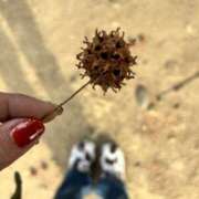 ヒメ日記 2026/01/16 06:22 投稿 琉唯(るい) カサブランカ岡山店（カサブランカグループ）