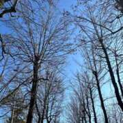 ヒメ日記 2026/01/29 10:32 投稿 琉唯(るい) カサブランカ岡山店（カサブランカグループ）