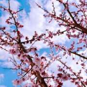 ヒメ日記 2026/03/08 20:46 投稿 琉唯(るい) カサブランカ岡山店（カサブランカグループ）