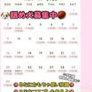 ヒメ日記 2025/10/31 14:55 投稿 るな 大宮ウィング