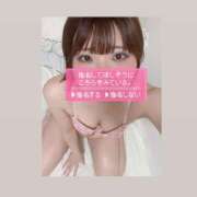 ヒメ日記 2025/09/23 12:15 投稿 みつば 池袋人妻ヒットパレード（シンデレラグループ）