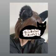 ヒメ日記 2025/11/19 00:29 投稿 みつば 池袋人妻ヒットパレード（シンデレラグループ）