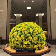 ヒメ日記 2025/04/21 12:06 投稿 三橋 熟女の風俗最終章 新横浜店