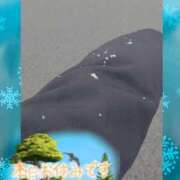 ヒメ日記 2025/02/18 20:44 投稿 このみ(体験) 人妻の雫 岡山店