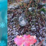 ヒメ日記 2025/02/19 09:04 投稿 このみ(体験) 人妻の雫 岡山店