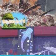 ヒメ日記 2025/02/25 21:04 投稿 このみ(体験) 人妻の雫 岡山店