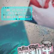 ヒメ日記 2025/02/26 14:14 投稿 このみ(体験) 人妻の雫 岡山店