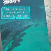 ヒメ日記 2025/02/28 13:44 投稿 このみ(体験) 人妻の雫 岡山店