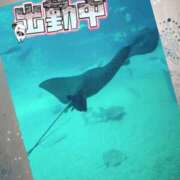 ヒメ日記 2025/03/01 13:44 投稿 このみ(体験) 人妻の雫 岡山店