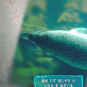 ヒメ日記 2025/03/03 19:34 投稿 このみ(体験) 人妻の雫 岡山店