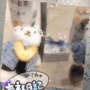 ヒメ日記 2025/03/16 15:25 投稿 このみ(体験) 人妻の雫 岡山店