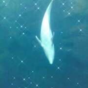 ヒメ日記 2025/03/25 12:54 投稿 このみ(体験) 人妻の雫 岡山店