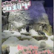 ヒメ日記 2025/03/26 13:24 投稿 このみ(体験) 人妻の雫 岡山店