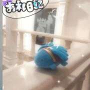 ヒメ日記 2025/03/26 15:37 投稿 このみ(体験) 人妻の雫 岡山店