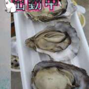 ヒメ日記 2025/04/01 17:44 投稿 このみ(体験) 人妻の雫 岡山店