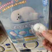 ヒメ日記 2024/12/15 22:17 投稿 くるみ アラモード