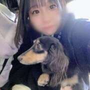 ヒメ日記 2024/12/28 20:48 投稿 くるみ アラモード